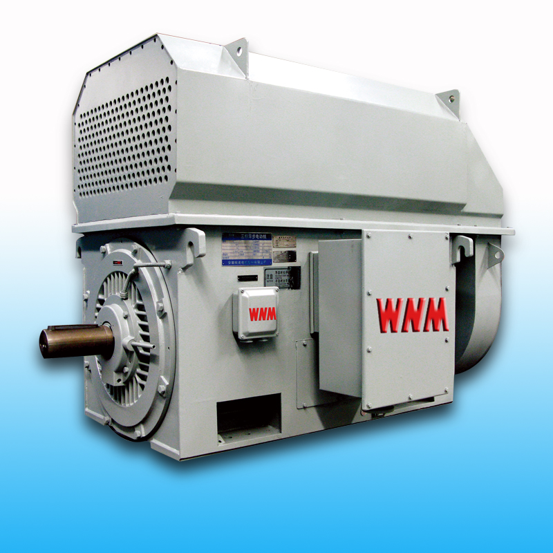 YTM、YHP、YMPS系列專用電機（3KV/6KV）